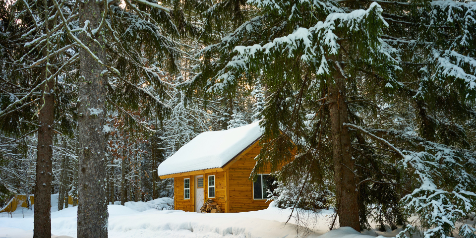 roof snow removal