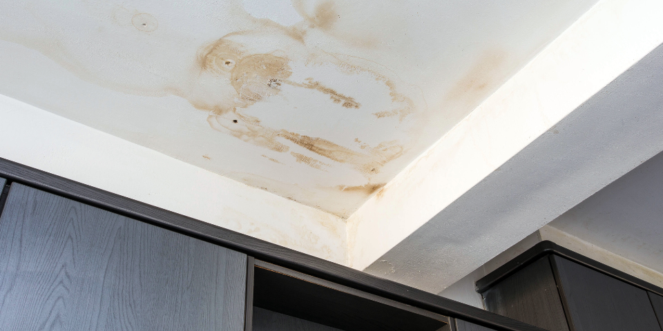 roof leaks