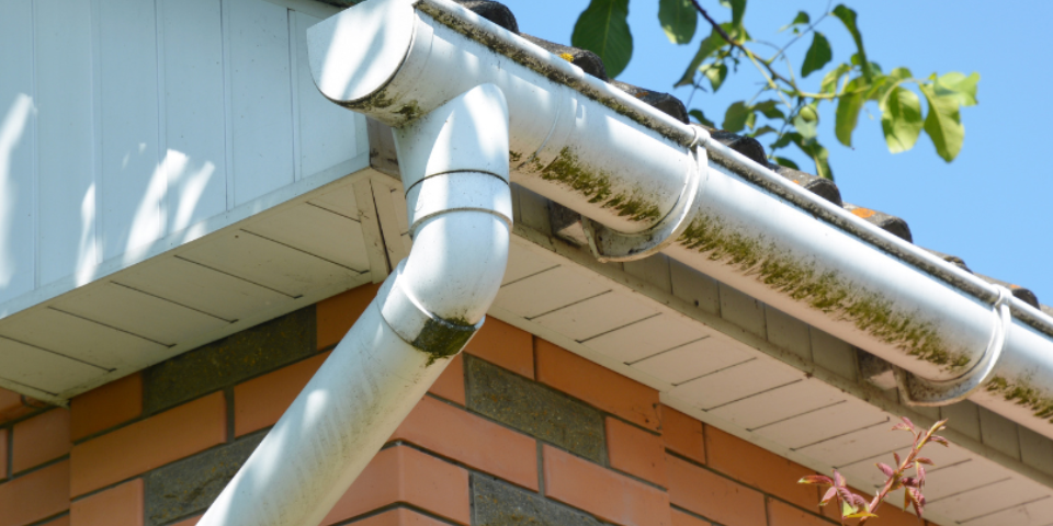 gutter maintenance